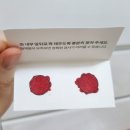 한진종합공구 | 바이오컴 지연성 알러지 검사 음식물 과민증 검사 내돈내산 채혈 후기