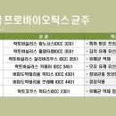 도도스타일 이미지