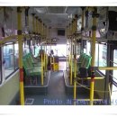 영신버스 이미지