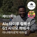 그린디벨롭먼트 | [Green Beaner 13th] 생두 리뷰/지에스씨(GSC)/그린비너(13기)/에티오피아 AIo 타미루 컬렉션 G1 시다모...