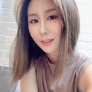 파니샵 이미지