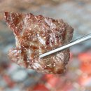 영월동강한우타운 이미지