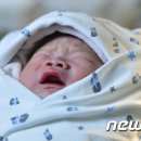 알콩이네 이미지