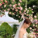 김해빌 | 울산 근교 빌프랑웨딩 부산 야외 웨딩 추천 부산 강서 포레스트 3002