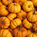 호박한의원 이미지