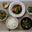 한일플라스틱(주) Daum카페