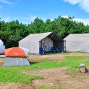 사프리카 더 캠프 이미지