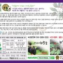 하늘나라산삼