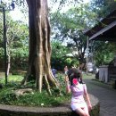 자향농장 | 포레스트.원숭이사원.Teba Sari coffe House 커피농장.애비뉴 스파 맛사지 샵 Avenue Spa Bali.짐바란...