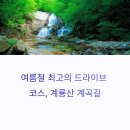 동학사삼거리~계룡시 경계 | 계룡산 7,8월 드라이브, 시원한 계곡 따라 떠나는 힐링 여행