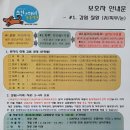 스킨앤이어동물병원 이미지