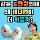 검단남로 네이버블로그