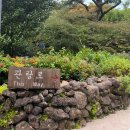 제주 수국 명소, &#39;휴애리&#39; 입장료 할인 방법 포토스팟 정보 공유