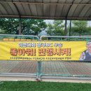 양구초등학교 이미지