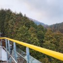 통나무펜션&편백쉼터 이미지