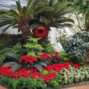 부천호수식물원 수피아 이미지