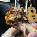 여수족발 - 여수시 동문로 114 | 여수 신기동 여수족발 포장 후기 아이들과 집에서 먹은 부드러운 족발 저녁 (포장·배달 전문)
