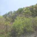 무릉리-8 이미지