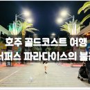 서퍼스 티스토리