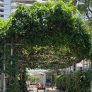 숲속앤정원 이미지