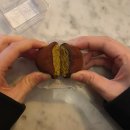 수원-1437 | 오픈런 성공! 수원 하울즈 두바이쫀득쿠키 (솔직한 후기)