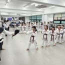 용인대금메달태권도 이미지