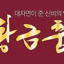 동경미용장교육학원 이미지