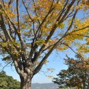 (주)경주산림환경 이미지