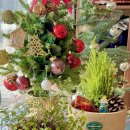 좋은날,여기 이미지