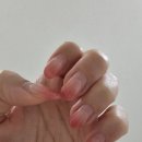 네일프리다 이미지