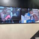 경인헬스복싱클럽 | 마들복싱 기초부터 차근차근, 1시간이 순식간에 지나간 복싱클럽