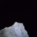 원줄농장 이미지