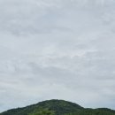 생태공원비 이미지