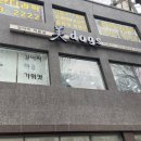 미독스 이미지