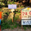 창포연못낚시터 이미지