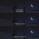 리니야 Daum카페