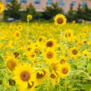 전북대익산캠퍼스 이미지