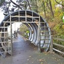 비토어촌계 이미지