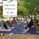 마니요가