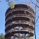 금광호수 이미지