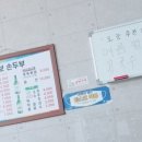 설보손두부