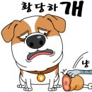 초록애견샵 네이버블로그