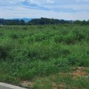 주덕읍사무소 이미지