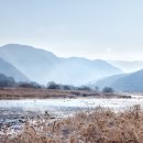 섬진강 침실습지 이미지