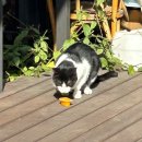 남동열린공원 이미지