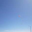 Dallas Road Waterfront Trail 이미지