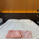 W-9 | W여성병원 산후조리원 오리지널룸 9박 10일 후기 (+금액, 식사, 시설)