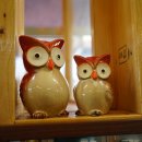 육남매별빛촌 이미지