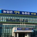창녕쌀