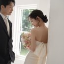 THE W헤어